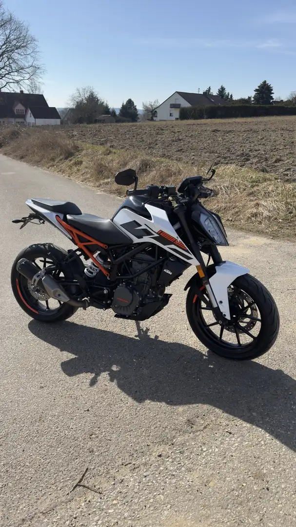 KTM 125 Duke Alb - 1