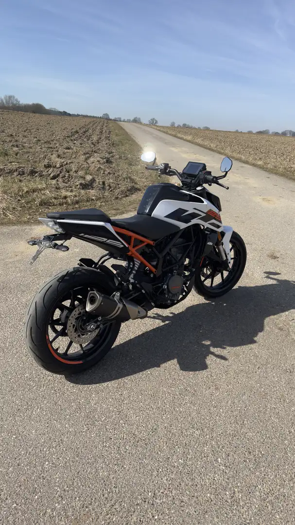 KTM 125 Duke Alb - 2