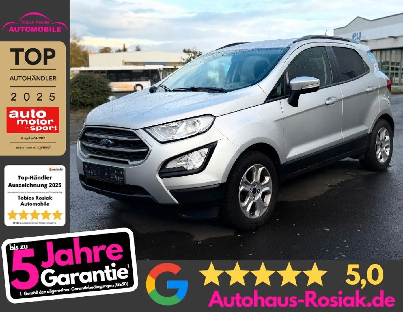 Ford EcoSport Argent - 1