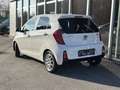 Kia Picanto 1,0 MPI Team Austria Edition Weiß - thumbnail 2