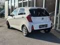 Kia Picanto 1,0 MPI Team Austria Edition Weiß - thumbnail 2