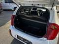 Kia Picanto 1,0 MPI Team Austria Edition Weiß - thumbnail 14