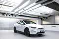 Tesla Model X Plaid 1. Hand weiss/weiss Blanc - thumbnail 1