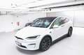 Tesla Model X Plaid 1. Hand weiss/weiss Blanc - thumbnail 6
