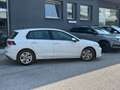 Volkswagen Golf 1.5TSI 115 CV LIFE Blanc - thumbnail 7