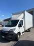 Opel MOVANO CAB. EDIT 35 Weiß - thumbnail 1