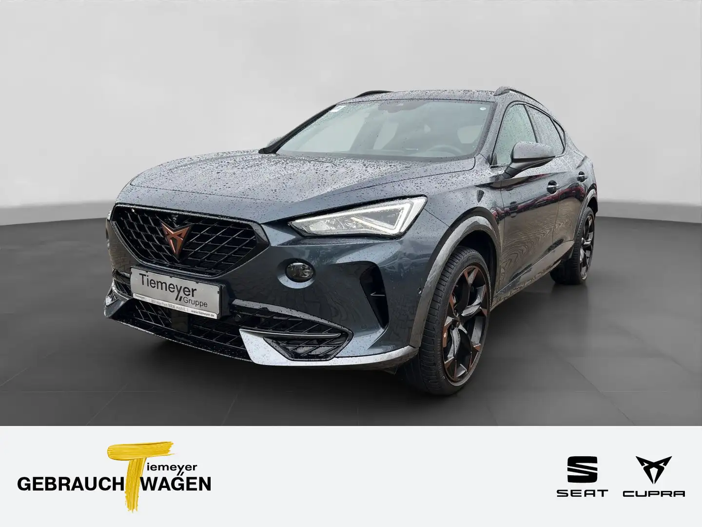 CUPRA Formentor 2.0 TSI DSG VZ BREMBO beats KAMERA L19 Grau - 1