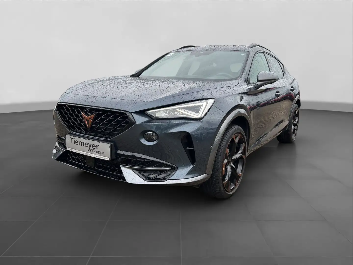 CUPRA Formentor 2.0 TSI DSG VZ BREMBO beats KAMERA L19 Grau - 2