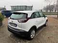 Opel Crossland X Crossland X 1.2 Advance 83cv my18.5 Weiß - thumbnail 4