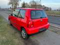 Volkswagen Lupo Basis Rouge - thumbnail 4