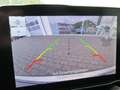 Ford Puma ST X Blanco - thumbnail 23
