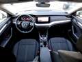 Skoda Octavia Combi 2.0 TDI Style DSG LED Navi AHK Klimaa Weiß - thumbnail 10