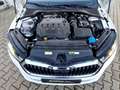 Skoda Octavia Combi 2.0 TDI Style DSG LED Navi AHK Klimaa Weiß - thumbnail 15