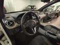 Mercedes-Benz B 200 CDI BlueEFFICIENCY Blanco - thumbnail 25