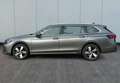 Volkswagen Passat Variant 2.0 TDI 110 kW Business Grau - thumbnail 3