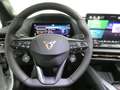 CUPRA Raval ENDURANCE 52/55 LED ACC App DAB Kamera Assistenzp. Weiß - thumbnail 16