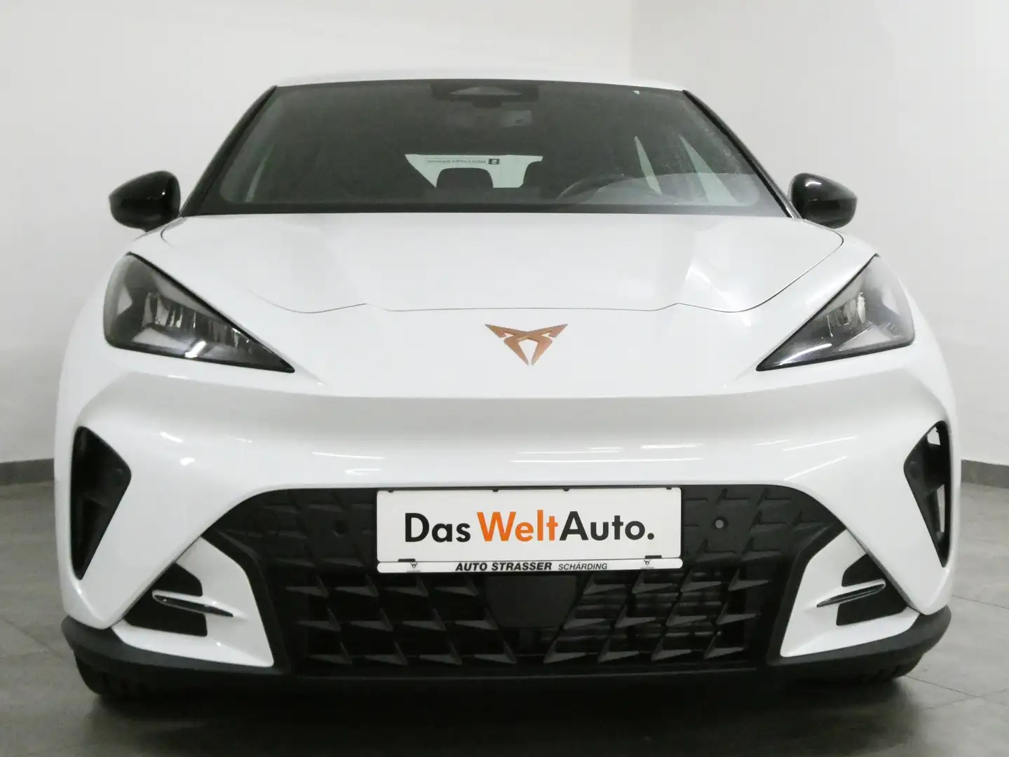 CUPRA Raval ENDURANCE 52/55 LED ACC App DAB Kamera Assistenzp. Weiß - 2