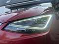 SEAT Ibiza 1.0 TSI FR Business Intense ACC/CARPLAY *ALL-IN PR Rojo - thumbnail 8
