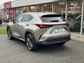 Lexus NX 450h+ AWD Executive Line | Head up display, 20 inch, Geh Argent - thumbnail 3