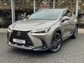 Lexus NX 450h+ AWD Executive Line | Head up display, 20 inch, Geh Argent - thumbnail 37