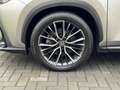 Lexus NX 450h+ AWD Executive Line | Head up display, 20 inch, Geh Argent - thumbnail 9