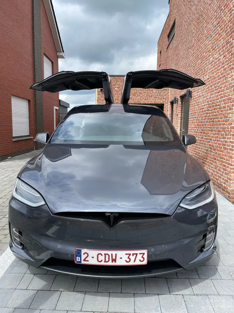 Tesla Model X Model X 100D Long Range FSD!! Серый - 1