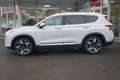 Hyundai SANTA FE 2.2 CRDI Prime 4WD LED Navi ACC 360° Blanc - thumbnail 5