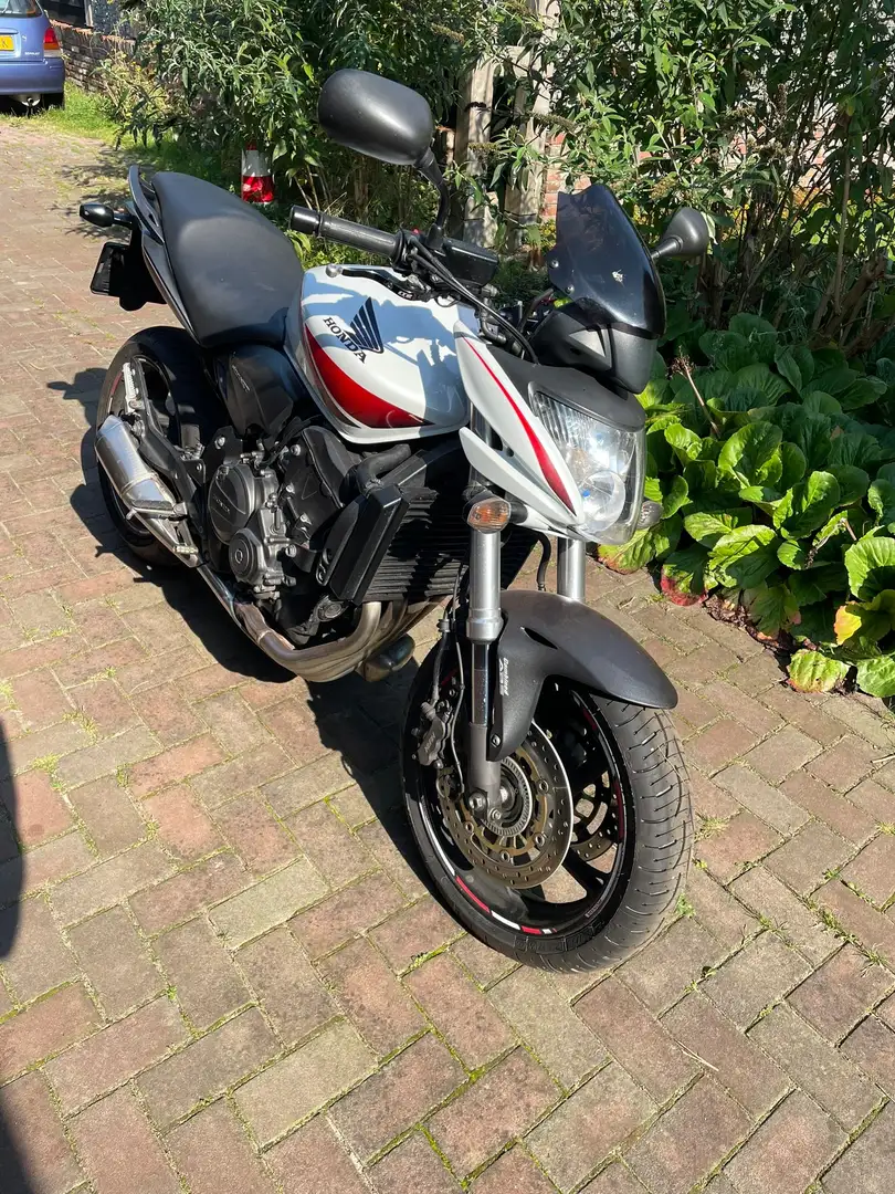 Honda Hornet CB600F ABS 2010 White - 2