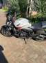 Honda Hornet CB600F ABS 2010 White - thumbnail 3