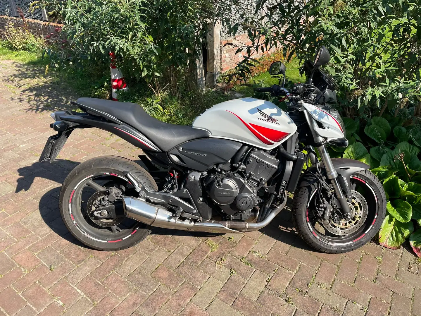 Honda Hornet CB600F ABS 2010 White - 1