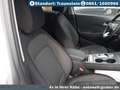 Hyundai KONA Elektro Edition 30 Plus-Paket+8fach bereift - thumbnail 7