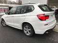 BMW X3 M -SPORTPAKET  2.0 DIESEL+AUTOMATIK+X DRIVE+NA Blanco - thumbnail 7