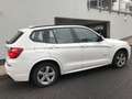 BMW X3 M -SPORTPAKET  2.0 DIESEL+AUTOMATIK+X DRIVE+NA Blanco - thumbnail 16
