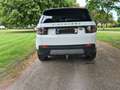 Land Rover Discovery Sport TD4 SE Aut. 179 pk! Bílá - thumbnail 6