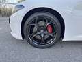 Alfa Romeo Giulia 2.2 TD 210cv Tributo Italiano AT8 Q4 Blanc - thumbnail 7