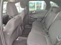 Ford Kuga 2,5 Duratec FHEV ST-Line Aut. Grün - thumbnail 9