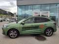 Ford Kuga 2,5 Duratec FHEV ST-Line Aut. Grün - thumbnail 2