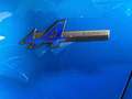 Renault Rafale E-TECH FULL HYBRID 200 ESPRIT ALPINE Blu/Azzurro - thumbnail 19