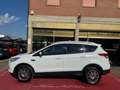 Ford Kuga 2.0 TDCI 140 CV 4WD Powershift Titanium Bianco - thumbnail 5