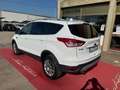 Ford Kuga 2.0 TDCI 140 CV 4WD Powershift Titanium Bianco - thumbnail 4