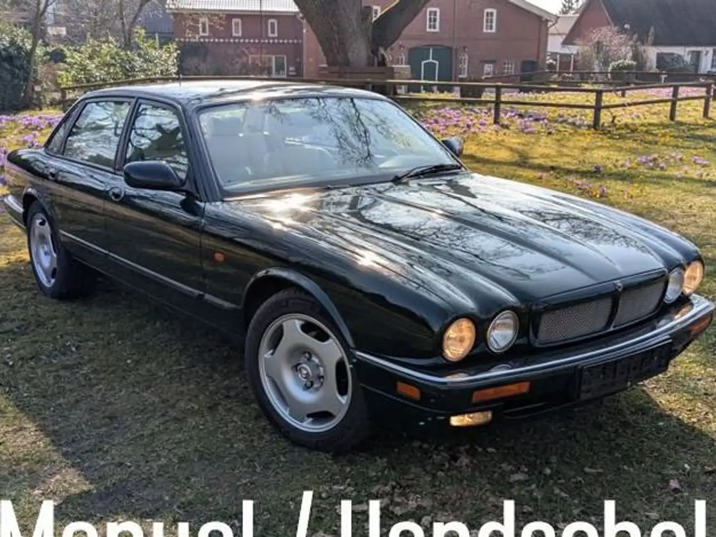 Jaguar XJR Manual/Handschalter Zielony - 1
