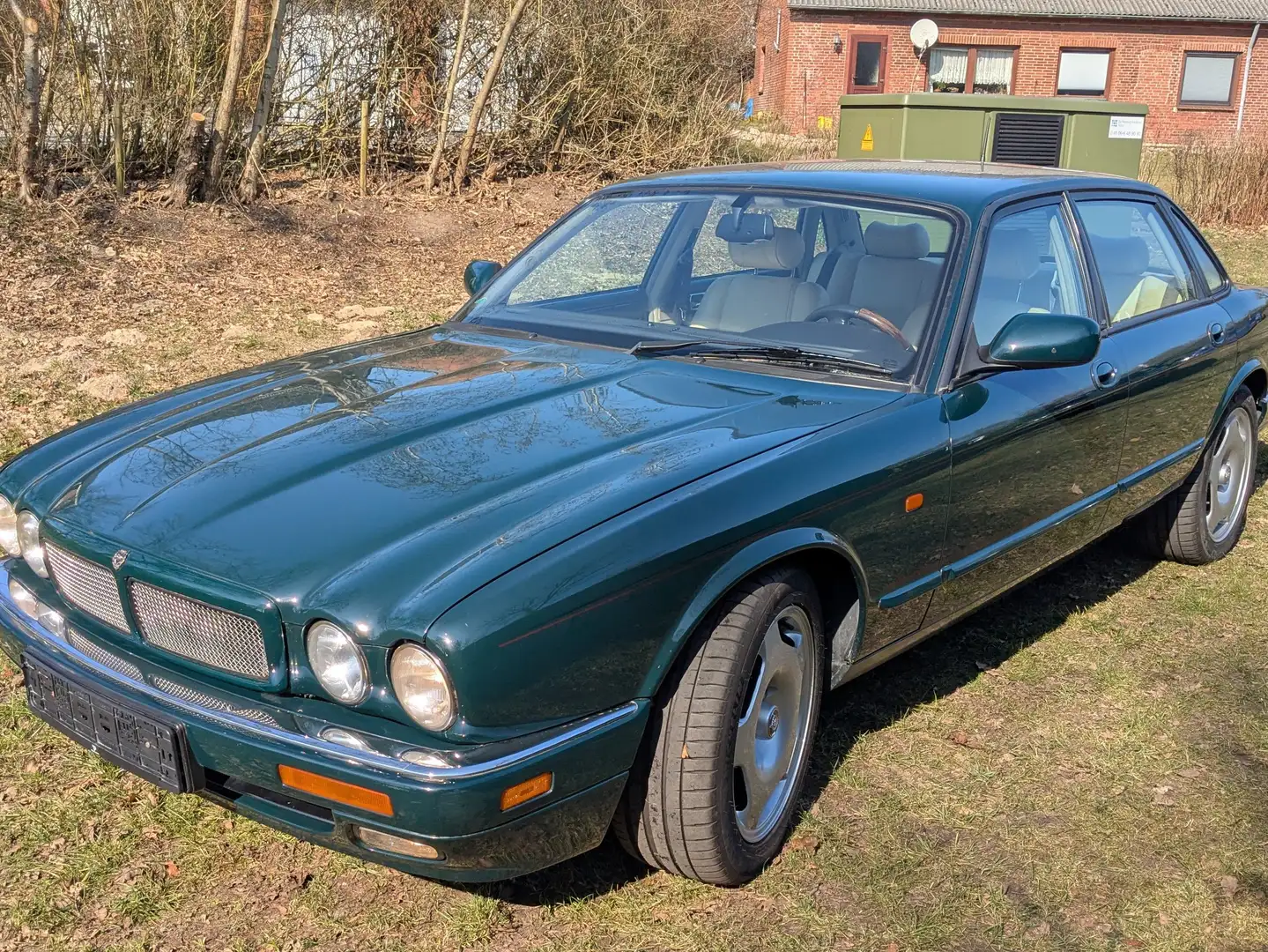 Jaguar XJR Manual/Handschalter Zielony - 2