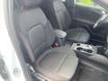 Ford Focus ST-Line X Autom. Navi/Kamra/Winterpaket Weiß - thumbnail 18