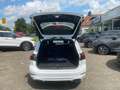 Ford Focus ST-Line X Autom. Navi/Kamra/Winterpaket Weiß - thumbnail 9