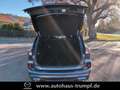 Ford Kuga 2.0 AWD ST-Line X Standheizung AZV W-Reifen Blauw - thumbnail 9
