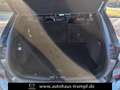 Ford Kuga 2.0 AWD ST-Line X Standheizung AZV W-Reifen Blauw - thumbnail 10