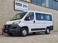 Fiat Ducato 2.3 MJT 140CV Furgone Vetrato Bianco - thumbnail 1