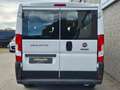 Fiat Ducato 2.3 MJT 140CV Furgone Vetrato Bianco - thumbnail 3