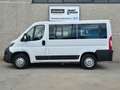 Fiat Ducato 2.3 MJT 140CV Furgone Vetrato Bianco - thumbnail 2