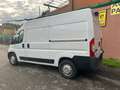 Fiat Ducato 35 2.3 MJT 130CV PM-TM Furgone Maxi Bianco - thumbnail 10